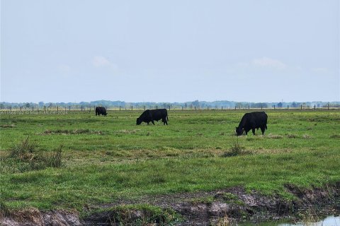 Land in Okeechobee, Florida № 1116013 - photo 23