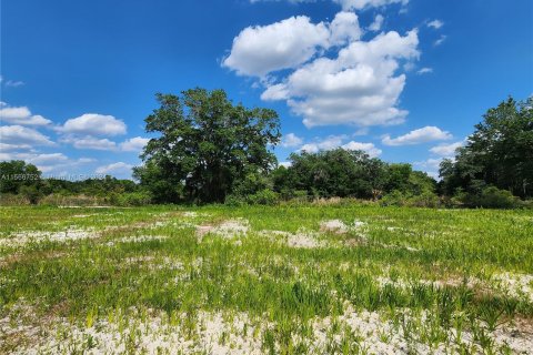 Land in Okeechobee, Florida № 1116013 - photo 14