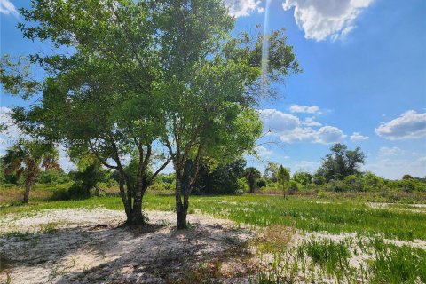 Land in Okeechobee, Florida № 1116013 - photo 7