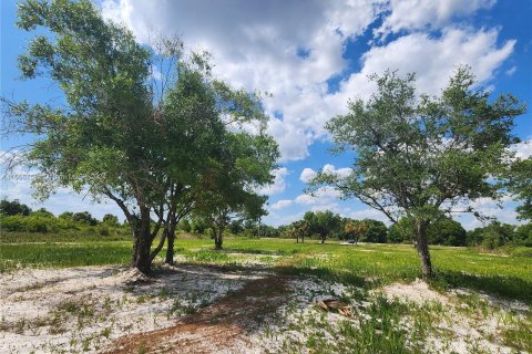 Land in Okeechobee, Florida № 1116013 - photo 4