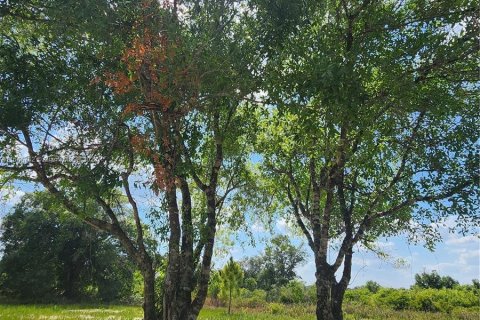 Land in Okeechobee, Florida № 1116013 - photo 10