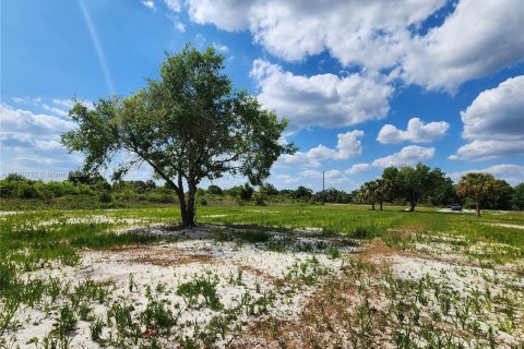 Land in Okeechobee, Florida № 1116013 - photo 16