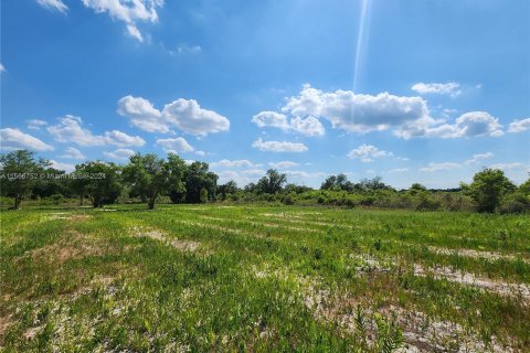 Land in Okeechobee, Florida № 1116013 - photo 22