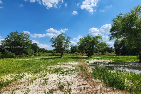 Land in Okeechobee, Florida № 1116013 - photo 18