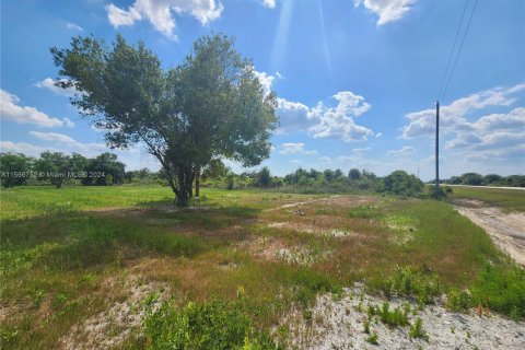 Land in Okeechobee, Florida № 1116013 - photo 9