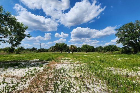 Land in Okeechobee, Florida № 1116013 - photo 12