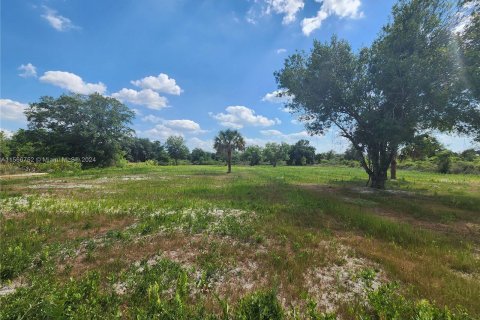 Land in Okeechobee, Florida № 1116013 - photo 11