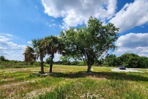 Land in Okeechobee, Florida № 1116013 - photo 17