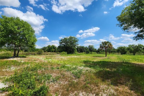 Land in Okeechobee, Florida № 1116013 - photo 6