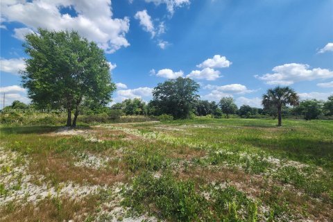 Land in Okeechobee, Florida № 1116013 - photo 15