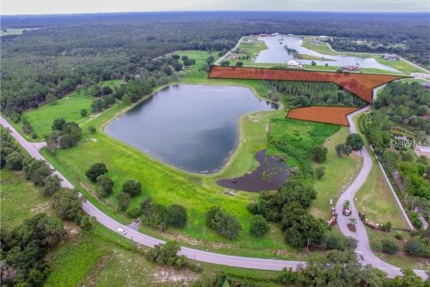 Land in Land O' Lakes, Florida № 960113 - photo 4