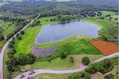 Land in Land O' Lakes, Florida № 960113 - photo 7