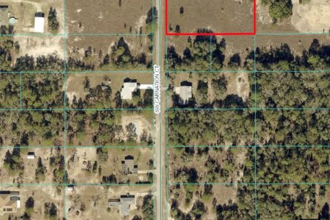 Terreno en venta en Dunnellon, Florida № 1340688 - foto 2