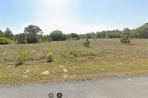 Terreno en venta en Dunnellon, Florida № 1340688 - foto 4