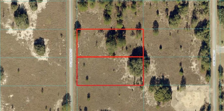 Terreno en Dunnellon, Florida № 1340688