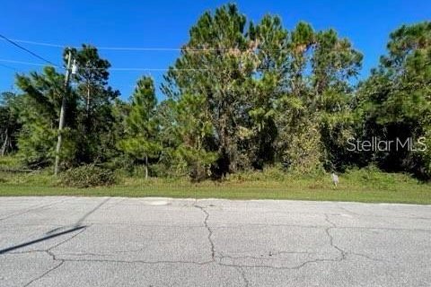 Купить земельный участок в Пайнсиана, Флорида № 950449 - фото 1