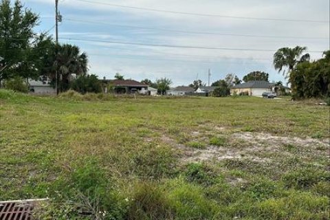 Terrain à vendre à Cape Coral, Floride № 1089083 - photo 4
