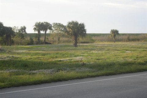 Купить земельный участок в Окичоби, Флорида № 226766 - фото 3