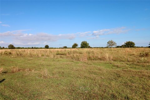 Land in Okeechobee, Florida № 1178577 - photo 6