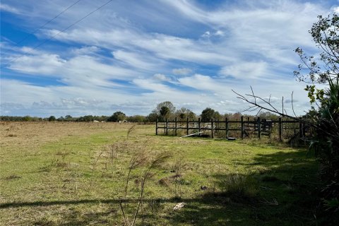 Land in Okeechobee, Florida № 1178577 - photo 8