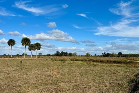 Land in Okeechobee, Florida № 1178577 - photo 10