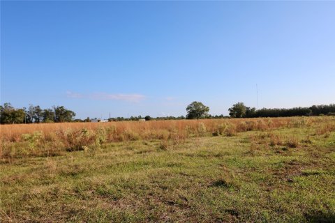 Land in Okeechobee, Florida № 1178577 - photo 1