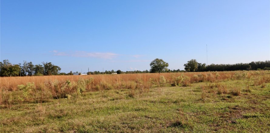 Land in Okeechobee, Florida № 1178577