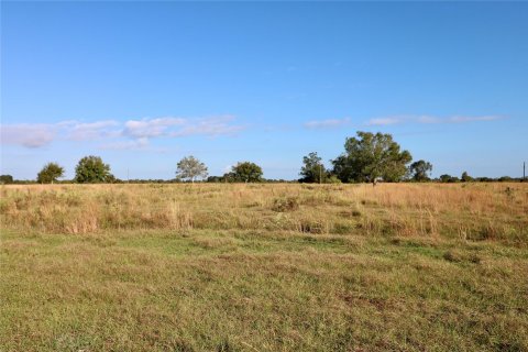 Land in Okeechobee, Florida № 1178577 - photo 7