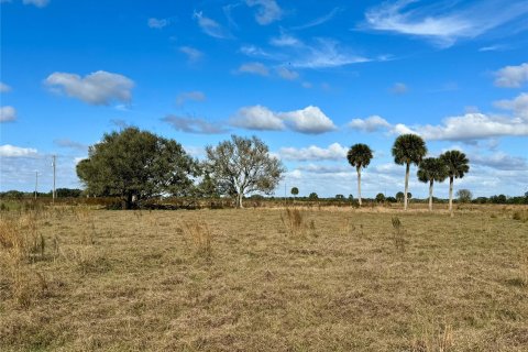 Land in Okeechobee, Florida № 1178577 - photo 11