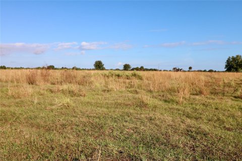 Land in Okeechobee, Florida № 1178577 - photo 3