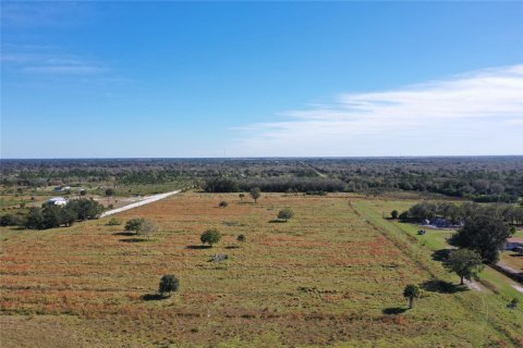 Land in Okeechobee, Florida № 1178577 - photo 12