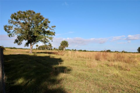 Land in Okeechobee, Florida № 1178577 - photo 4