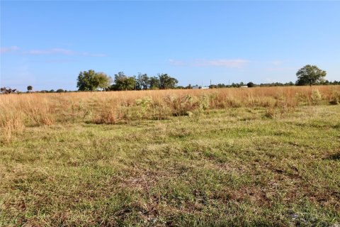 Land in Okeechobee, Florida № 1178577 - photo 2