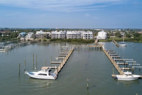 Copropriété à vendre à Saint Augustine, Floride: 4 chambres, 265.89 m2 № 1328871 - photo 4