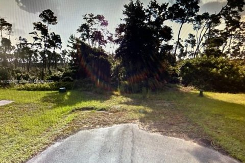 Land in Deltona, Florida № 65203 - photo 3