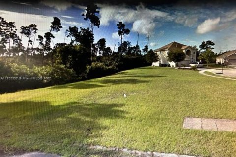 Land in Deltona, Florida № 65203 - photo 2
