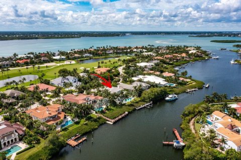 Villa ou maison à vendre à Stuart, Floride: 4 chambres, 557.88 m2 № 379051 - photo 2