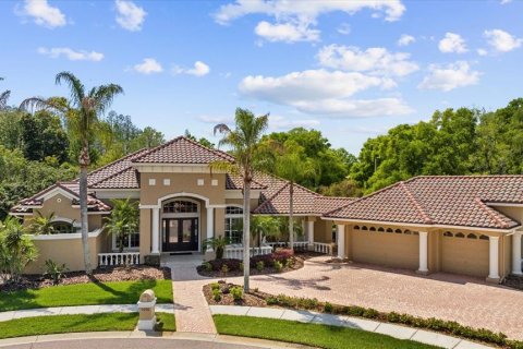 Villa ou maison à vendre à Lutz, Floride: 4 chambres, 384.8 m2 № 1113949 - photo 2