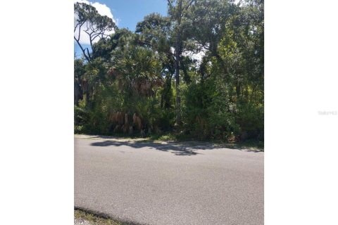 Land in Port Charlotte, Florida № 1254209 - photo 3