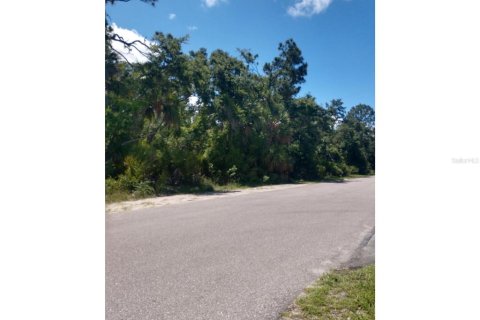 Terreno en venta en Port Charlotte, Florida № 1254209 - foto 1