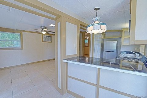 Casa en venta en Floral City, Florida, 1 dormitorio, 40.13 m2 № 1307715 - foto 6