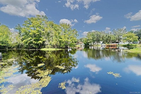 Villa ou maison à vendre à Floral City, Floride: 1 chambre, 40.13 m2 № 1307715 - photo 3