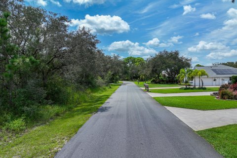 Terrain à vendre à Sebring, Floride № 910123 - photo 5