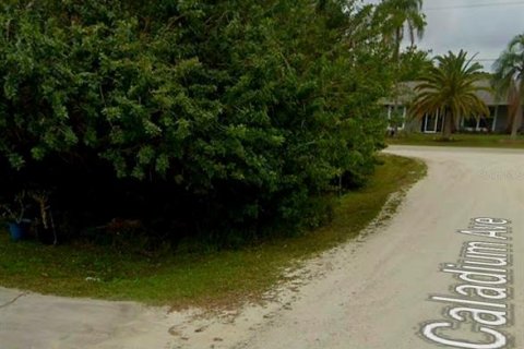 Terreno en venta en Punta Gorda, Florida № 417952 - foto 3