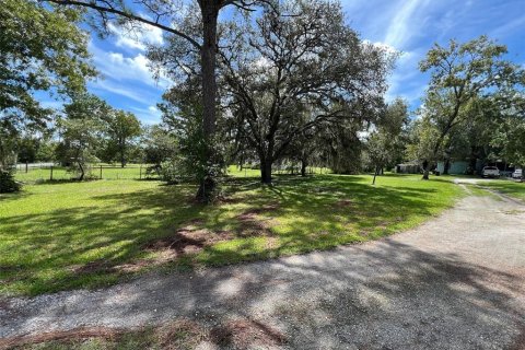 Villa ou maison à vendre à Homosassa, Floride: 4 chambres, 117.06 m2 № 1346491 - photo 14