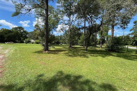 Villa ou maison à vendre à Homosassa, Floride: 4 chambres, 117.06 m2 № 1346491 - photo 13