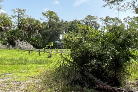 Land in Myakka City, Florida № 1382426 - photo 20