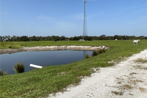 Land in Myakka City, Florida № 1382426 - photo 13