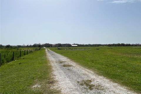 Land in Myakka City, Florida № 1382426 - photo 15