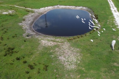 Terreno en venta en Myakka City, Florida № 1382426 - foto 12